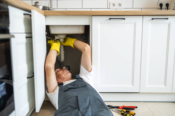 Best Plumbing Installation Services  in Edgemont Park, MI